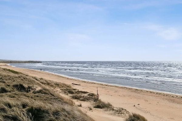 Mysig badstuga på Skrea strand i Falkenberg. - Bild 11