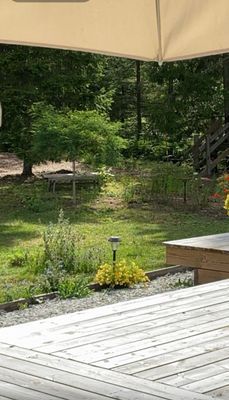 Åminne strand - Bild 17