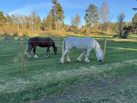 Stuga på gård i Roslagen - Bild 8