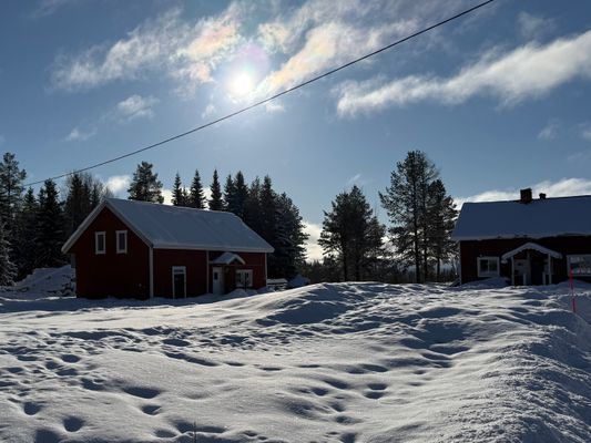 Mysig stuga i skogen på en gård - Bild 28
