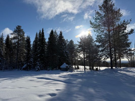 Mysig stuga i skogen på en gård - Bild 33