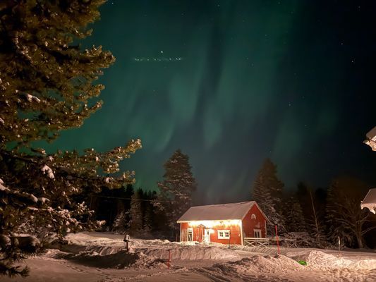 Mysig stuga i skogen på en gård - Bild 29