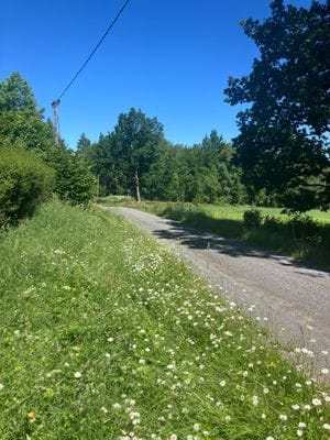 Trivsamt hus på landet - Småländska höglandet - Bild 21