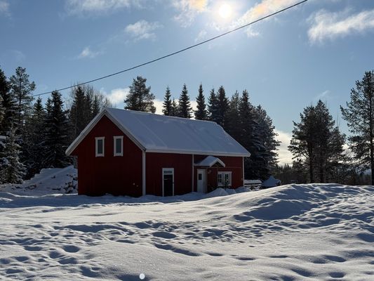 Mysig stuga i skogen på en gård - Bild 32