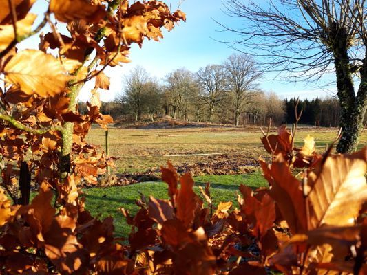 Naturskön och lantlig idyll mellan sjöar. - Bild 54