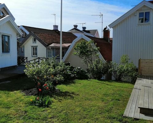 Tillhörande trädgård till huset