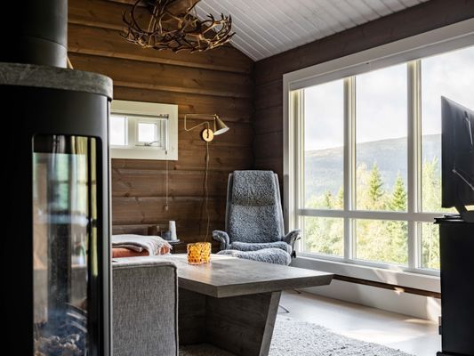 Åre Mysig lodge fantastiskt läge vid backen - Bild 3