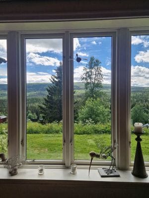 Mycket fint fjällhus nära Åre - Bild 4