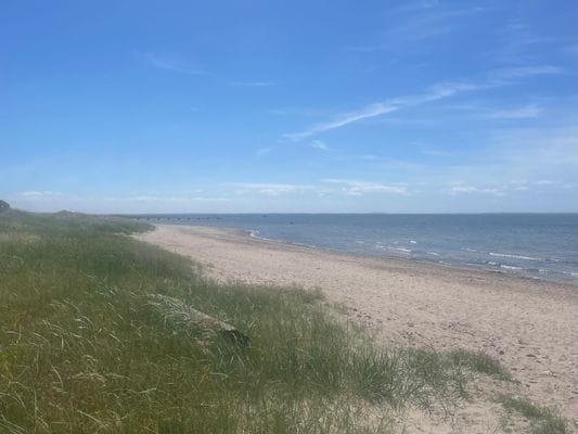 Stuga med havsutsikt – 100 m till stranden - Bild 4