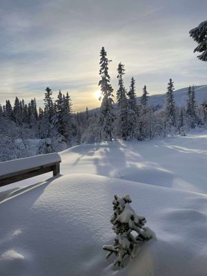 Retro fjällstuga Storhogna – bastu, braskamin - Bild 38