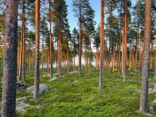 Rejäl off‑grid timmerstuga vackert belägen vid sjö - Bild 2