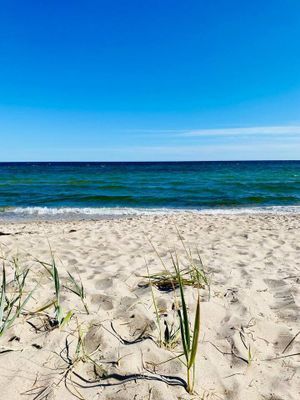 Sommarstuga - Bild 28