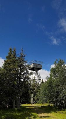 Cabin i Rentjärn - Bild 16