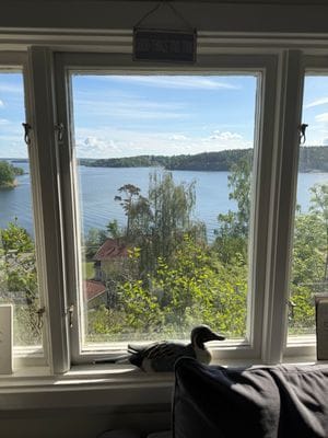 Stuga med unikt sjöläge i Stocksund - Bild 23