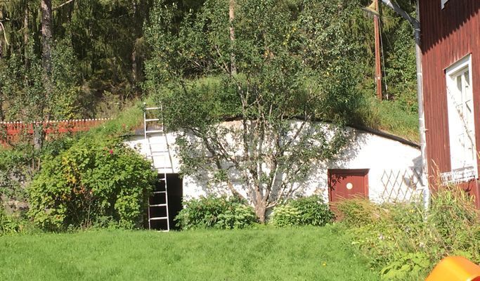 Mitt i vackra Hälsingland - Bild 4