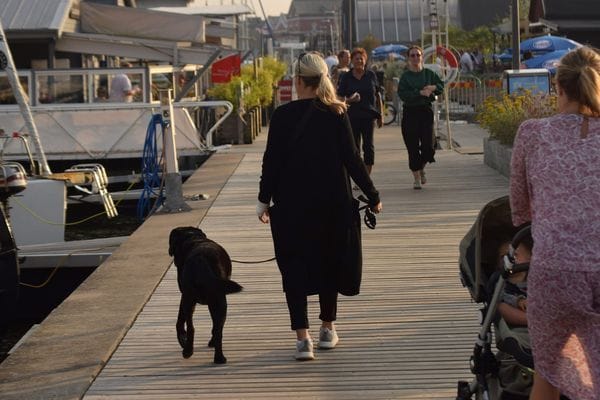 Mysig stuga vid havet i Äspet, Åhus - Bild 21