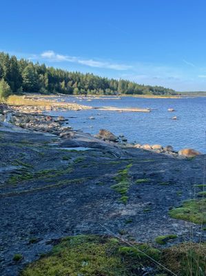 Sommarhus vid havet - Bild 5