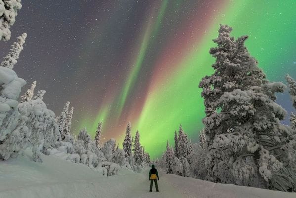 Hamra i härliga Härjedalen - Bild 10