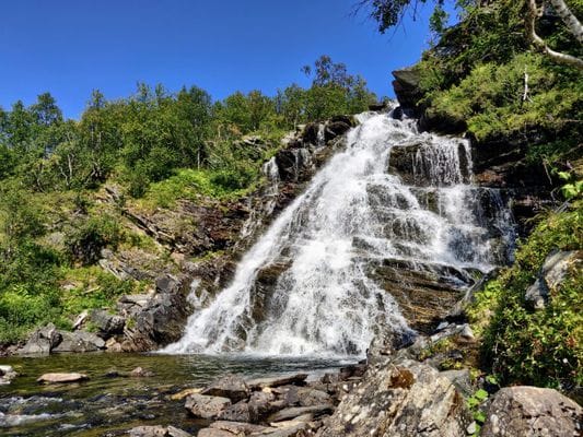 Hamra i härliga Härjedalen - Bild 24