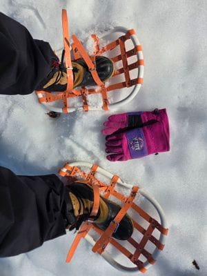 Hamra i härliga Härjedalen - Bild 4