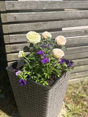 Mysig stuga med toppläge vid Skrea strand - Bild 9
