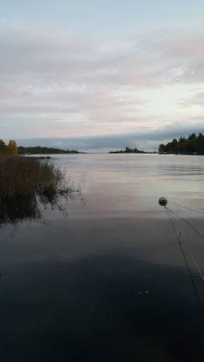 Mysig stuga vid skogens kant i bedårande Blekinge - Bild 17