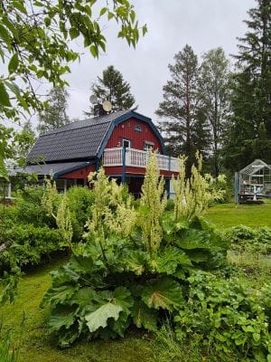 Charmigt semesterhus nära Höga Kusten – natur, lug - Bild 34