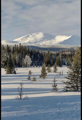 Nybyggt lofthus 15 min från Åre Björnen - Bild 15