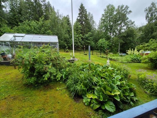 Charmigt semesterhus nära Höga Kusten – natur, lug - Bild 31