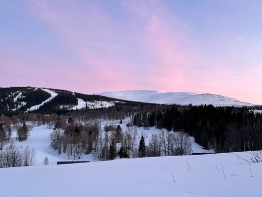 Nybyggt lofthus 15 min från Åre Björnen - Bild 19
