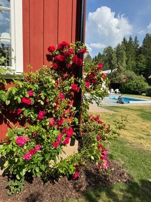 Privat sekelskiftespärla med pool och tennisbana - Bild 77