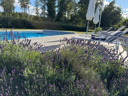 Privat sekelskiftespärla med pool och tennisbana - Bild 95