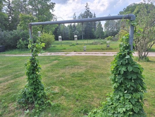 Bolyckan; småländsk avskildhet när den är som bäst - Bild 43