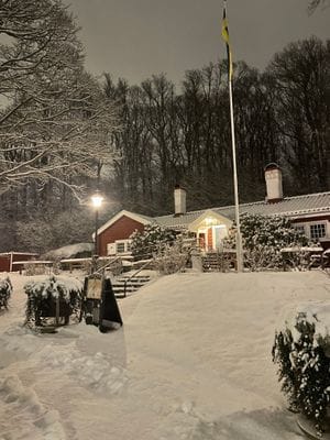 Wämöstugan café
