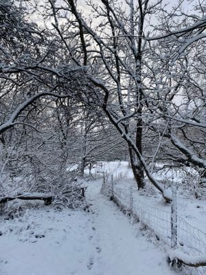 Wämöparken vinter