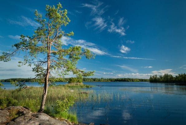 Familjevänligt rymligt hus vid sjö och skog. - Bild 26