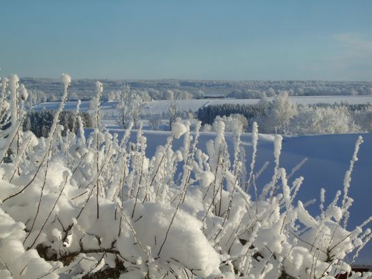 Lyxigt boende och avskild naturupplevelse - Bild 29