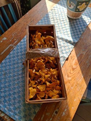 Stuga: Torup, Hylte, Halland, Sverige - Bild 7