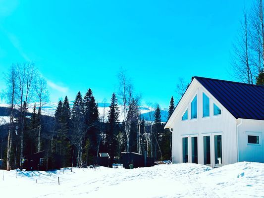 Nybyggt lofthus 15 min från Åre Björnen - Bild 34