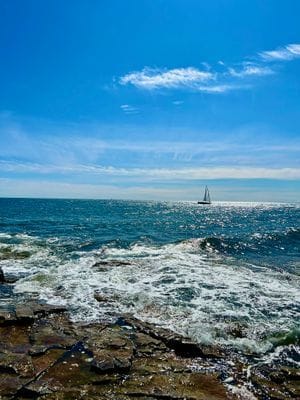 Charmigt radhus vid havet i idylliska Brantevik, Ö - Bild 24