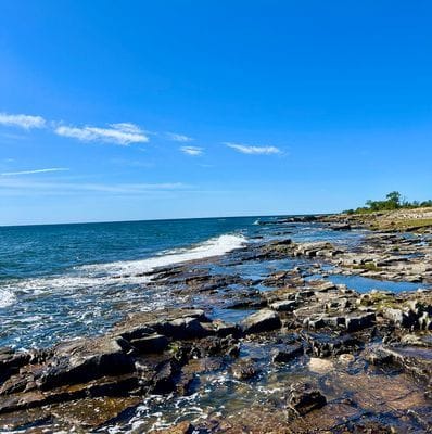 Charmigt radhus vid havet i idylliska Brantevik, Ö - Bild 26