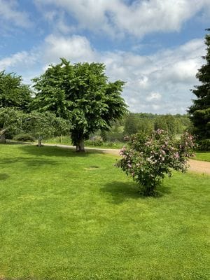 Modern stuga åretrunt boende nära sjö och golfbana - Bild 28
