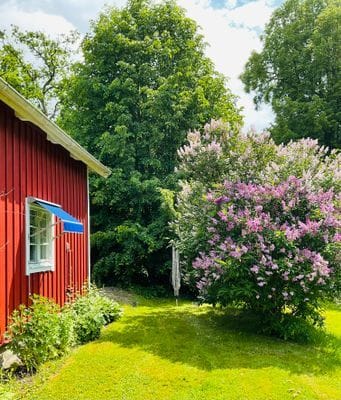 Modern stuga åretrunt boende nära sjö och golfbana - Bild 29