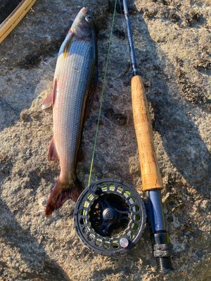 Nybyggt lofthus 15 min från Åre Björnen - Bild 43