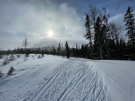 Nybyggt lofthus 15 min från Åre Björnen - Bild 40