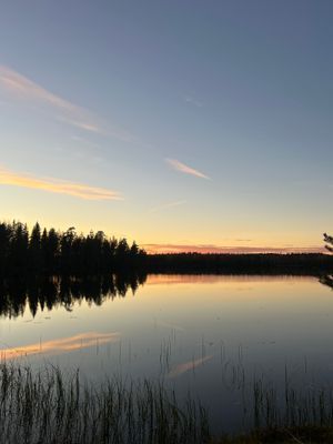 Mysig stuga i skogen nära fiske och natur! - Bild 14