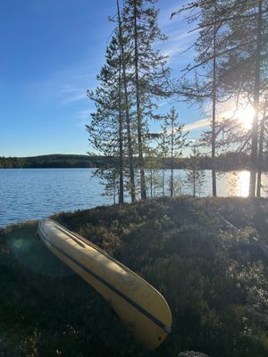 Mysig stuga i skogen nära fiske och natur! - Bild 15