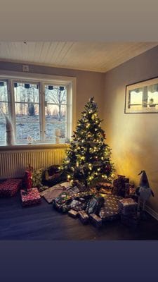 Julfirande
