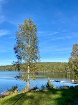 Underbar pool villa i Dalsland - Bild 6