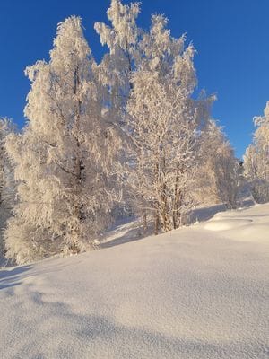 Lillstugan - Bild 22